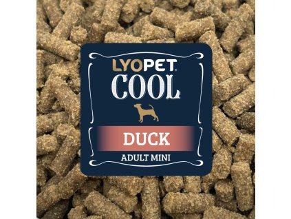 vzorek Cool Duck Adult Mini
