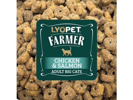 vzorek Farmer Cat Chicken