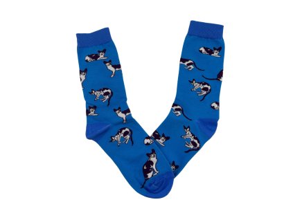 Modré ponožky Siamská kočka