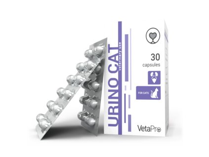 urino cat ezgif.com webp to jpg converter