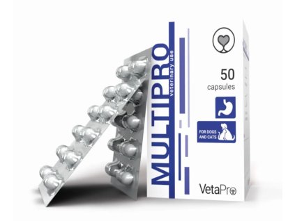 multipro ezgif.com webp to jpg converter