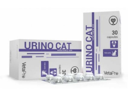 urino cat