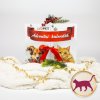 Lyopet Adventní kalendář pro kočky  Největší adventní kalendář v Česku