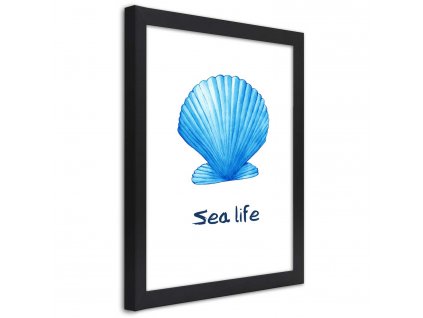 Plakát Modrá mušle s nápisem sea life
