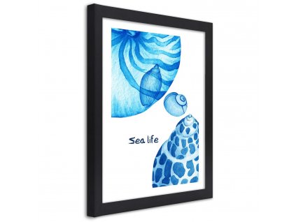 Plakát Mušle a nápis sea life