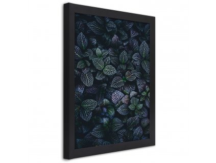 Plakát Malé listy rostliny