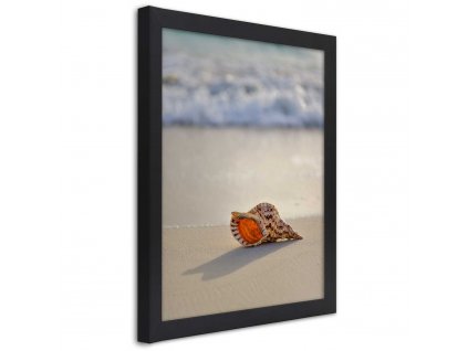 Plakát Mušle na pláži