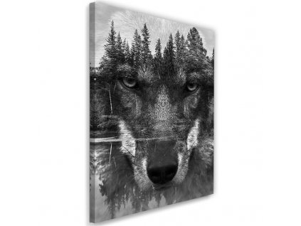 Obraz na plátně Černý vlk abstraktní