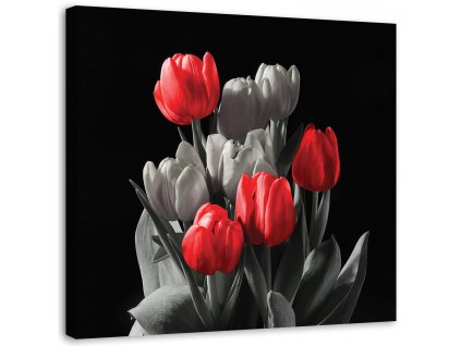 Obraz na plátně Kytice červených tulipánů
