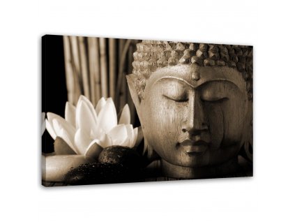Obraz na plátně Hlava Buddhy s lilií
