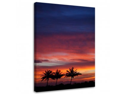Obraz na plátně Barevná obloha a palmy