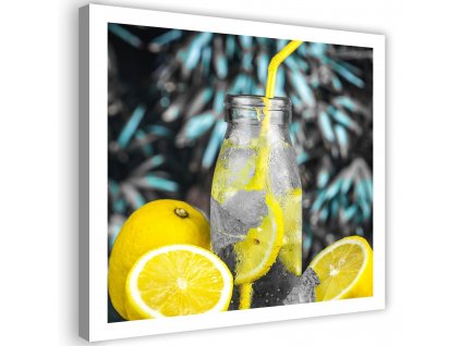 Obraz na plátně Nápoj a citrony