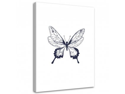 Obraz na plátně Nakreslený motýl