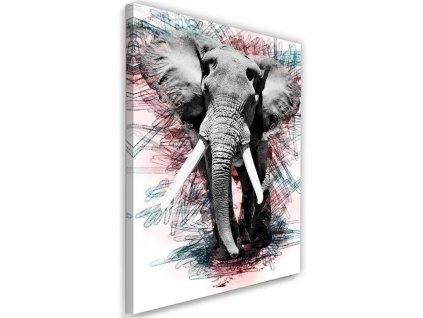 Obraz na plátně Slon na abstraktním pozadí