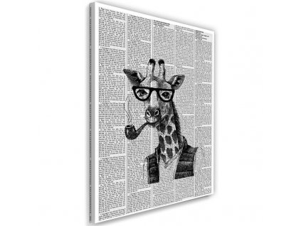 Obraz na plátně Žirafa s dýmkou - novinový článek