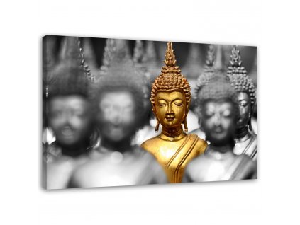 Obraz na plátně Golden buddha v davu