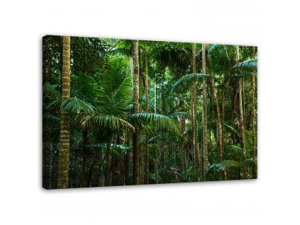 Obraz na plátně Zelené palmy