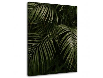 Obraz na plátně Zelené palmové listy