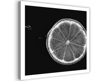 Obraz na plátně Plátek citronu černobílý