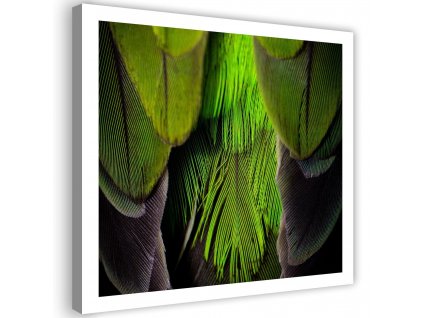 Obraz na plátně Lipově zelené peří