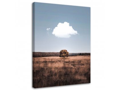 Obraz na plátně Osamělý strom a mraky