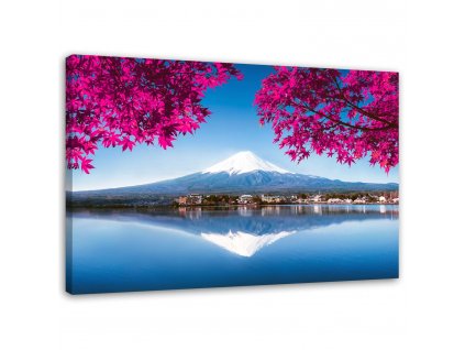 Obraz na plátně Hora Fuji, jezero a růžové listy