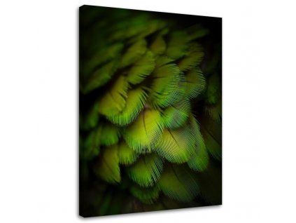 Obraz na plátně Ozdobné zelené peří