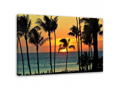 Obraz na plátně Palmy při západu slunce