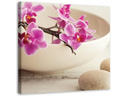 Obraz na plátně Růžové orchideje v misce