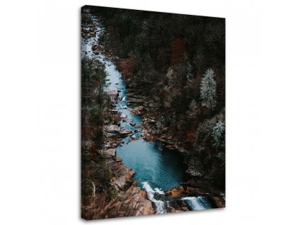 Obraz na plátně Řeka v lese