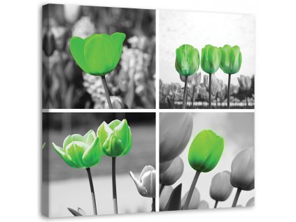 Obraz na plátně Sada zelených tulipánů