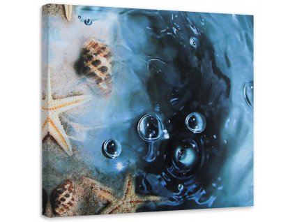 Obraz na plátně Mušle v modré vodě