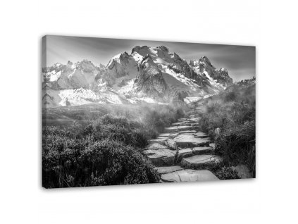 Obraz na plátně Kamenná cesta na vrchol - černobílý