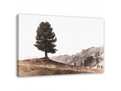 Obraz na plátně Strom na kopci