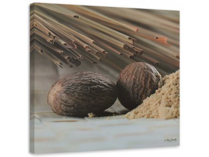Obraz na plátně Dva hnědé ořechy