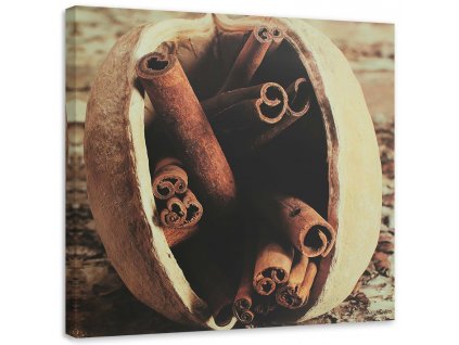 Obraz na plátně Vanilkové lusky v ořechu
