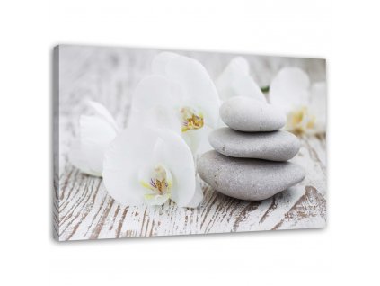 Obraz na plátně Bílá orchidej a kameny