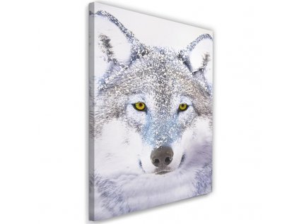 Obraz na plátně Bílý vlk ve sněhu