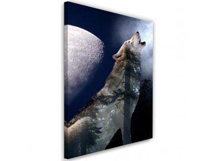 Obraz na plátně Vlk vyje v noci na měsíc