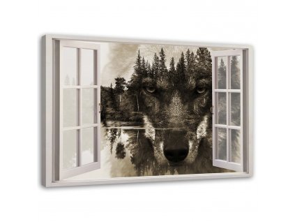 Obraz na plátně Vlk v okně