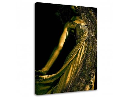 Obraz na plátně Žena ve zlatém prachu