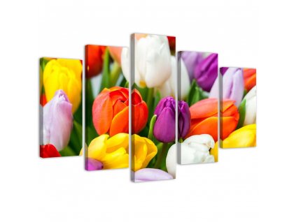 Obraz na plátně Barevné tulipány - 5 dílný