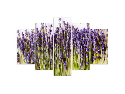 Obraz na plátně Lavender - 5 dílný