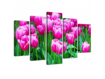 Obraz na plátně Růžové tulipány - 5 dílný