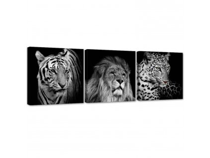 Sada obrazů na plátně Černobílá dravá zvířata - 3 dílná