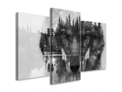 Obraz na plátně Černý vlk abstraktní - 3 dílný