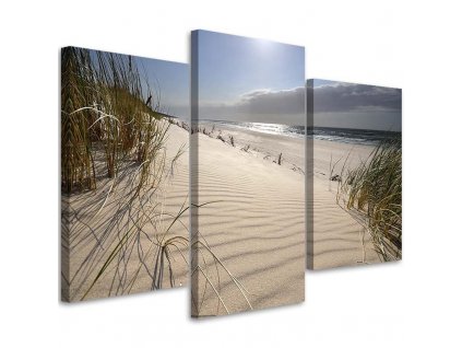 Obraz na plátně Duny na pláži - 3 dílný