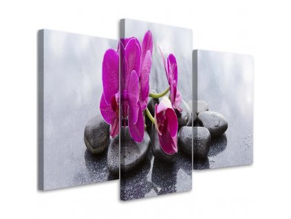 Obraz na plátně Orchidej a černé kameny - 3 dílný