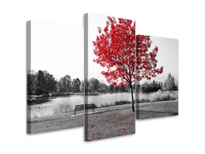 Obraz na plátně Strom s červenými listy - 3 dílný