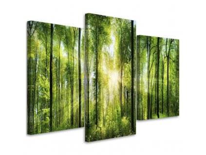 Obraz na plátně Sluneční paprsky v zeleném lese - 3 dílný